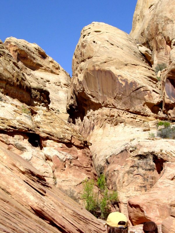 04160302LittleWildHorse (1052)